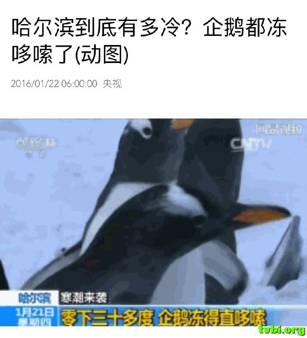 64267231jw1f087wfamdij20ku0mx76j.jpg