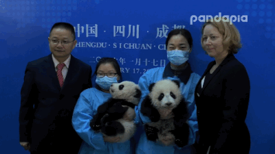 d3232bc8gw1f06yzyek32g20b4069qv5.gif