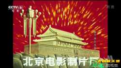 戴手铐的旅客