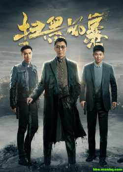 扫黑风暴 2021